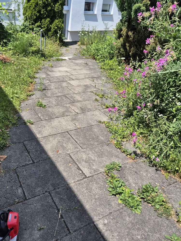 Ein gepflasterter Gartenweg mit Grauflächenpflege, Unkraut und rosa Blumen daneben.