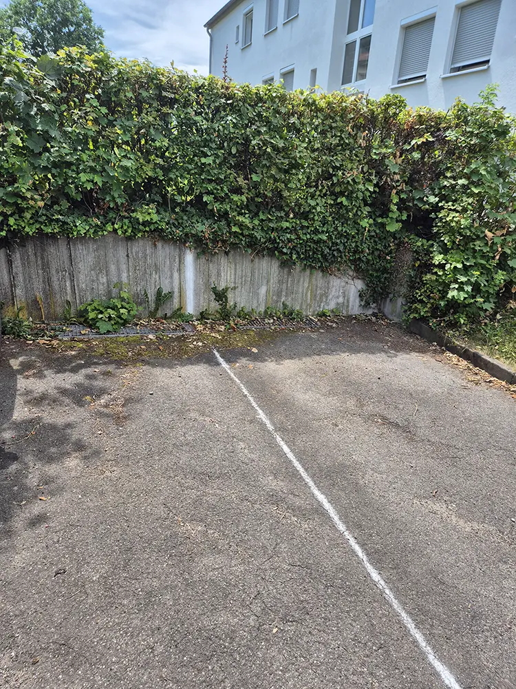 Ein leerer Parkplatz mit einer weißen Linie und Grauflächenpflege durch eine grüne Hecke.